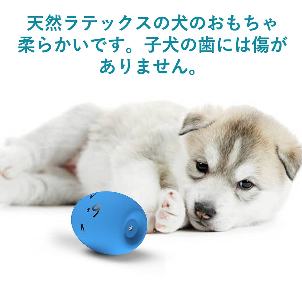 Amazon | SCHITEC 犬おもちゃ 音が出る 【8点セット】 ボール ペット